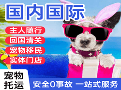 萧山机场快运国际宠物托运 【国